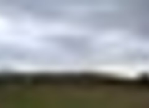 tiny_thumb_T10_Sacoias_02