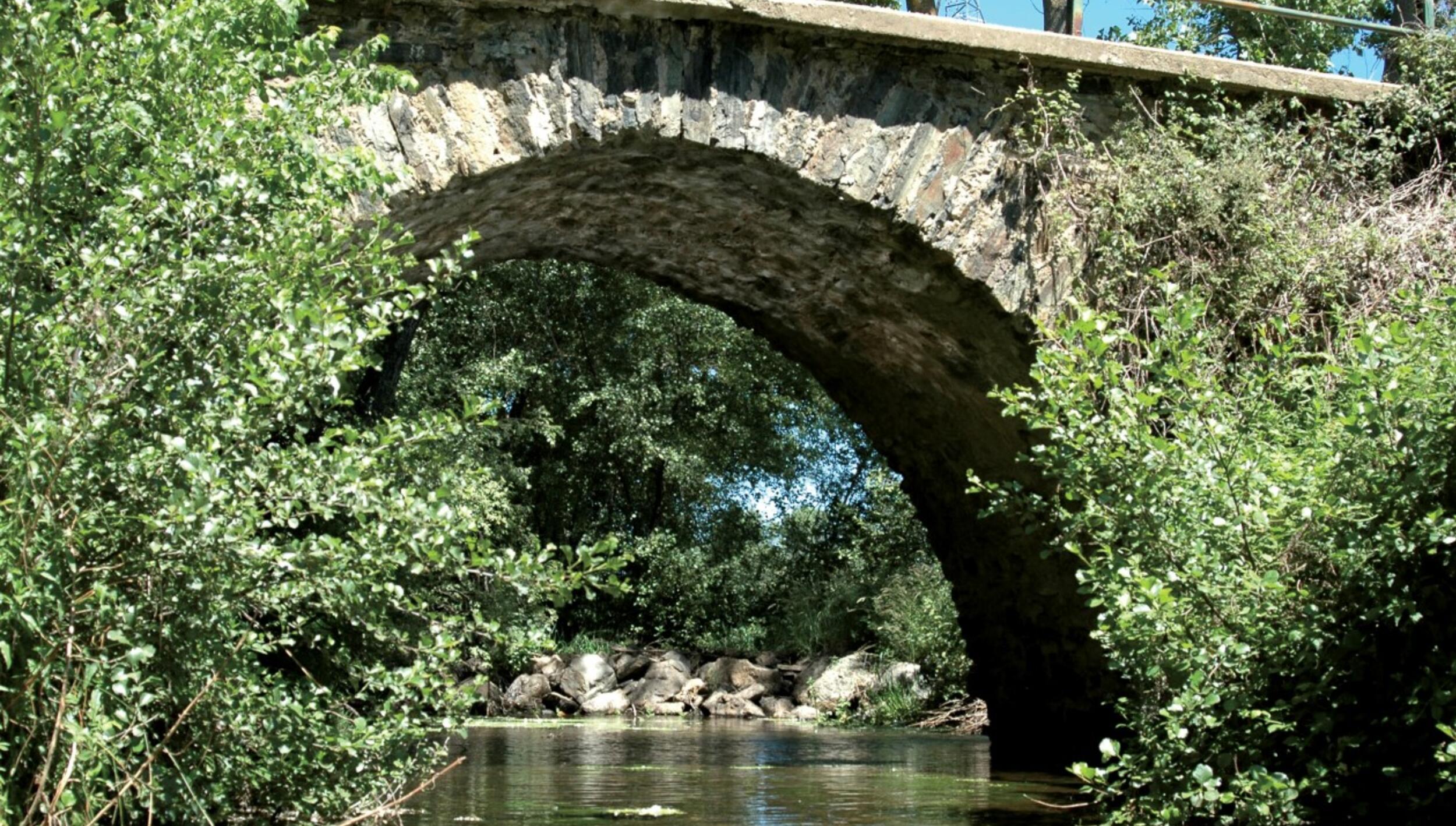 Ponte de Castro de Avelãs / Ponte de Ariães