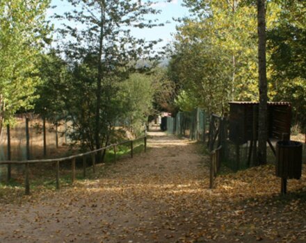 Parque_Biol_gico_de_Vinhais