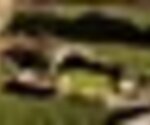 tiny_thumb_T03_08___4___Medium_