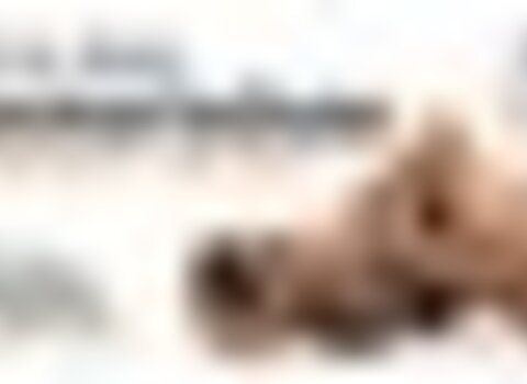 tiny_thumb_feira_das_cantarinhas_braganca_2022__Medium_