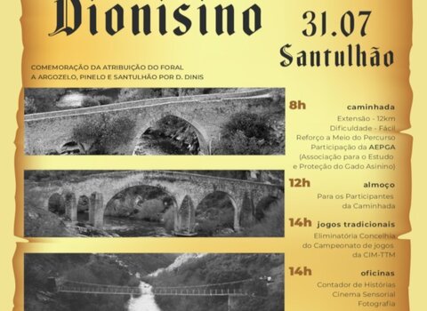 cartaz_cinearte_vimioso_sensorial_v5_1_720_2500