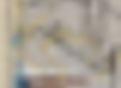 tiny_thumb_graca_morais___homenagem_a_antonio_mega_ferreira_1_980_2500__Medium_