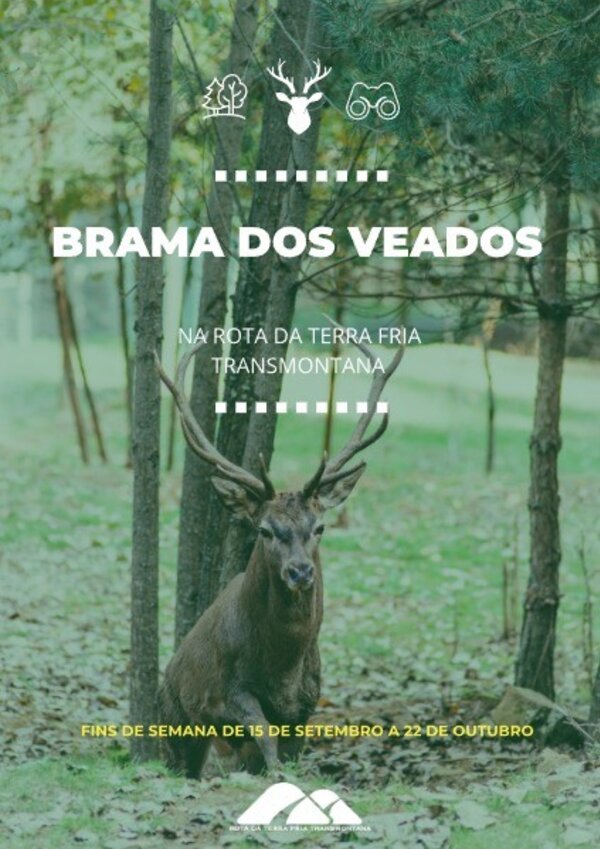 brama_dos_veados_2023_poster