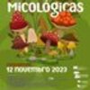 thumb_cartaz_ix_jornadas_micologicas__1_980_2500