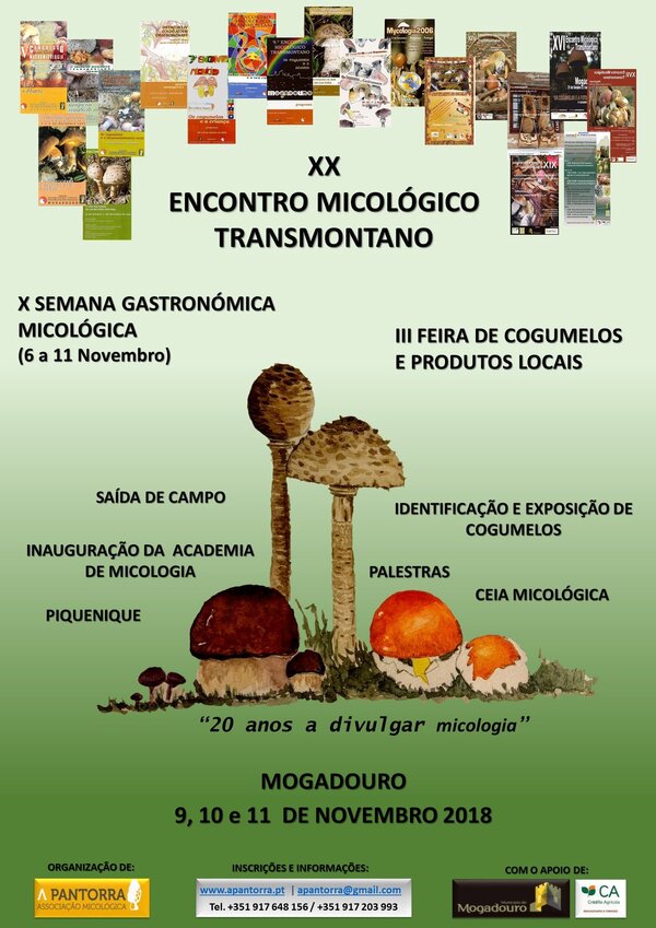 XXencontro_cogumelos