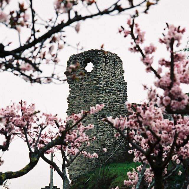 Vinhais - ruinas castelo