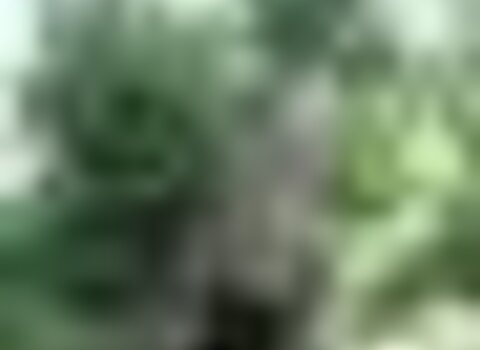 Tiny thumb 1 494 2 1 480 350