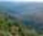 Tiny thumb rtft 17 setmbr 04 126 site 1 150 125