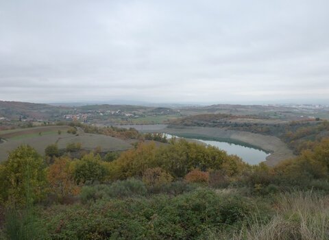 T07 08   24   medium  1 480 350