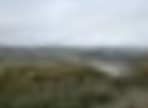 Tiny thumb t07 08   24   medium  1 480 350