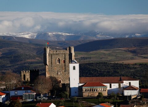 T07 07   76   medium  1 480 350