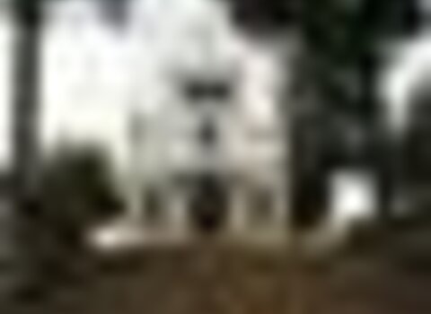 Tiny thumb sra das pereiras 1 480 350