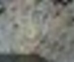 Tiny thumb p7010036  medium  1 150 125