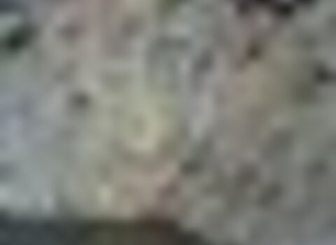 Tiny thumb p7010036  medium  1 480 350