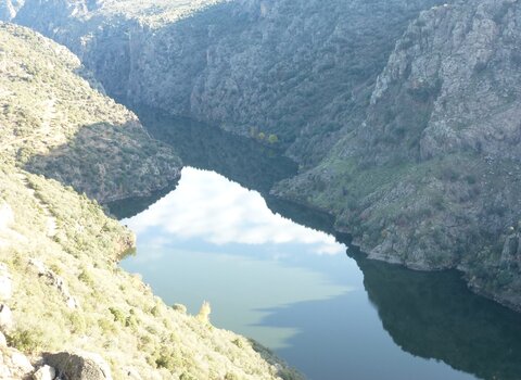 T03 10   12  1 480 350