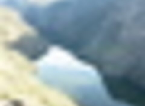 Tiny thumb t03 10   12  1 480 350