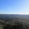 Thumb img 0085 1 100 100