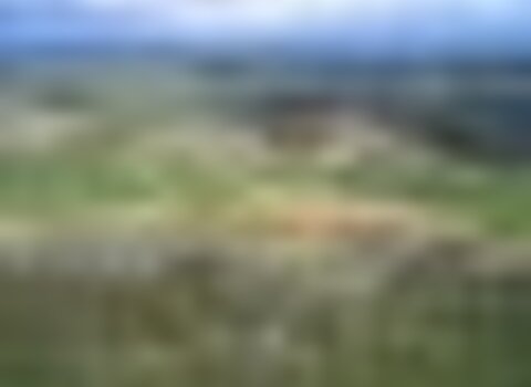 Tiny thumb vilar de rei 1 480 350