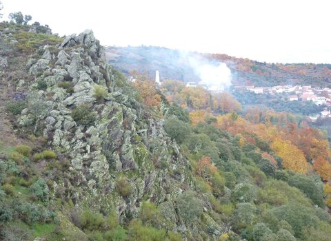 T01 01   11   medium  1 480 350