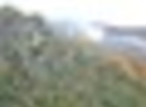 Tiny thumb t01 01   11   medium  1 480 350