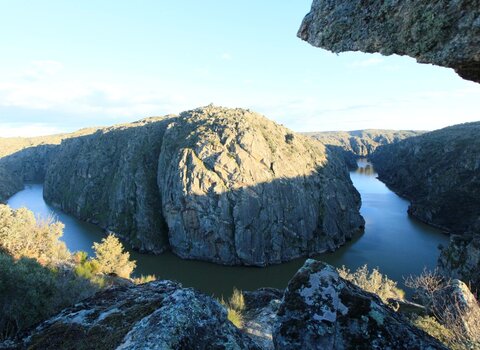 T03 05   19   medium  1 480 350