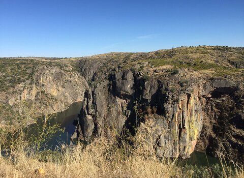 Img 2216  medium  1 480 350