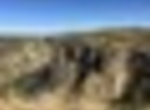 Tiny thumb img 2216  medium  1 480 350