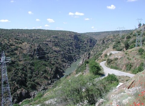 P1010010  medium  1 480 350