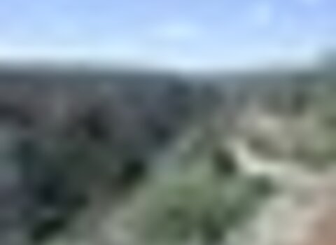 Tiny thumb p1010010  medium  1 480 350