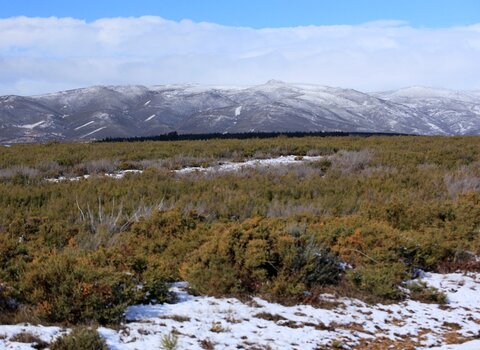 T10 16   6   medium  1 480 350