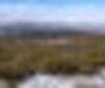 Tiny thumb t10 16   6   medium  1 150 125