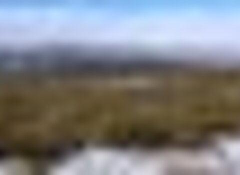 Tiny thumb t10 16   6   medium  1 480 350