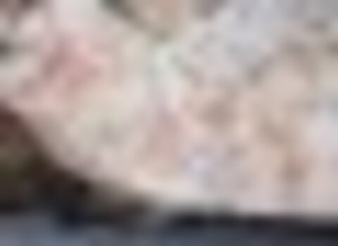 Tiny thumb t05 penasroias 06 1 480 350