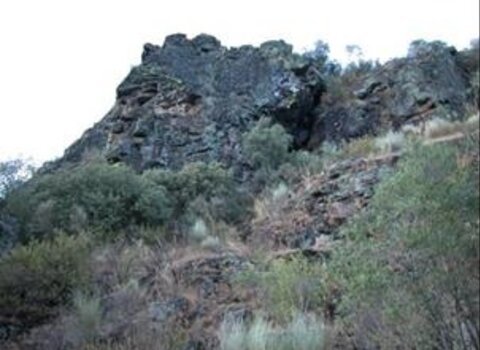 T08 soeira 01 1 480 350