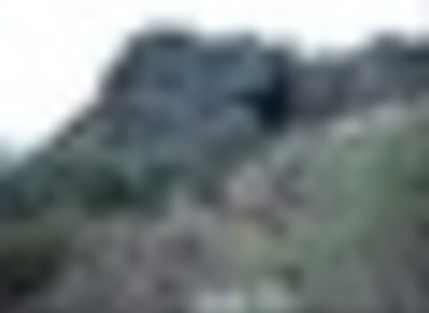 Tiny thumb t08 soeira 01 1 480 350