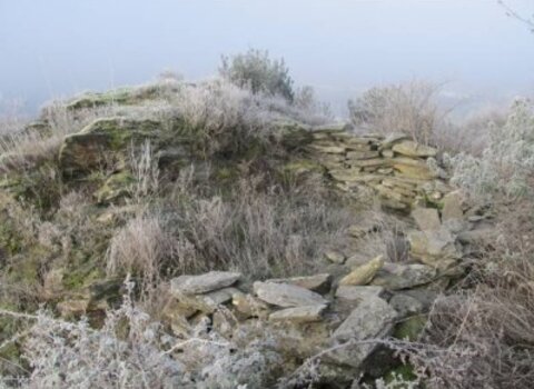 T07 gimonde 01 1 480 350