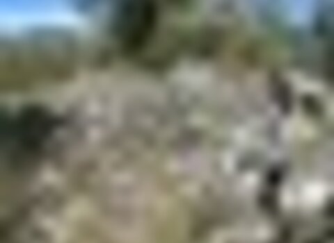 Tiny thumb t03 mdouro 06 1 480 350