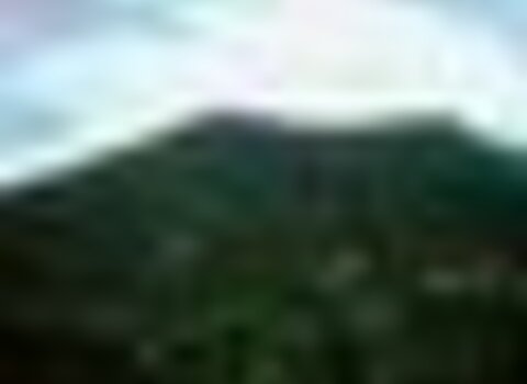 Tiny thumb 1.4.3.123 1 480 350