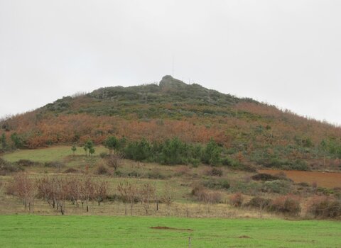 1.4.3.124a  medium  1 480 350