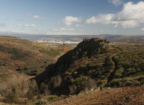  mg 5827 1 480 350