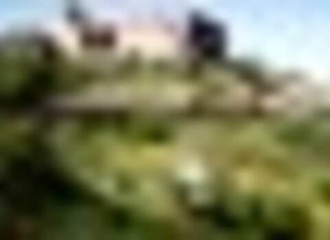 Tiny thumb castelo mdouro 1 480 350