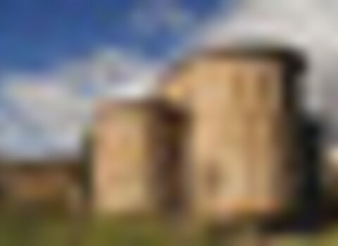 Tiny thumb  mg 5812 ruicunha  1 480 350