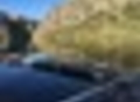 Tiny thumb img 2224  medium  1 480 350