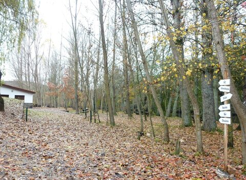 T01 01   33   medium  1 480 350