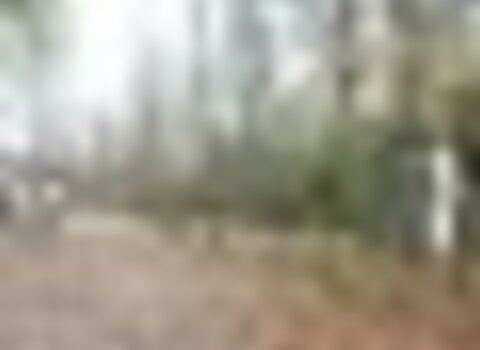 Tiny thumb t01 01   33   medium  1 480 350