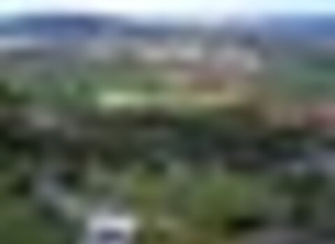 Tiny thumb pmerendas scristovao 1 480 350