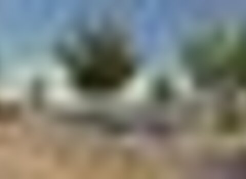 Tiny thumb pmerendas valedefrades 1 480 350