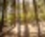 Tiny thumb parque biologico 2  medium  1 150 125