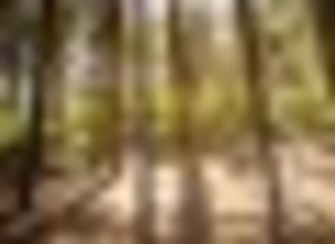 Tiny thumb parque biologico 2  medium  1 480 350